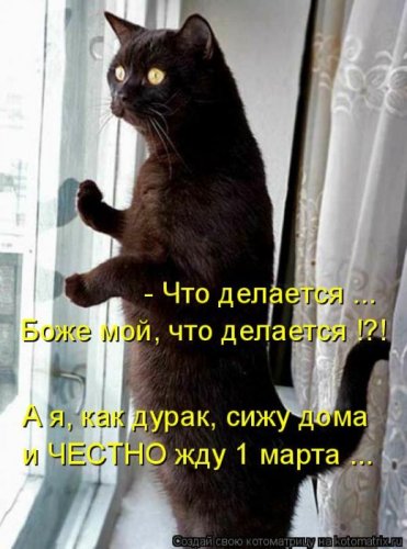 1328859112_16.jpg