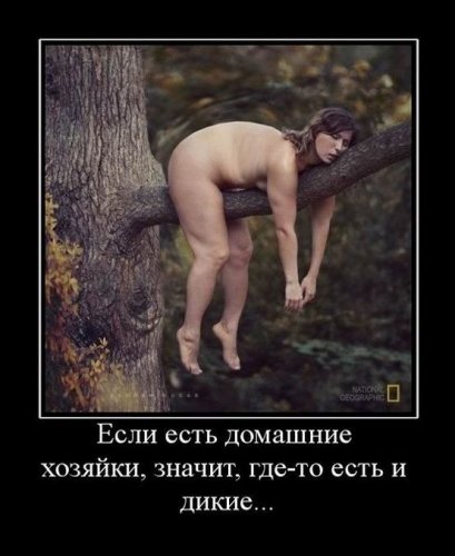 1329134450_18.jpg