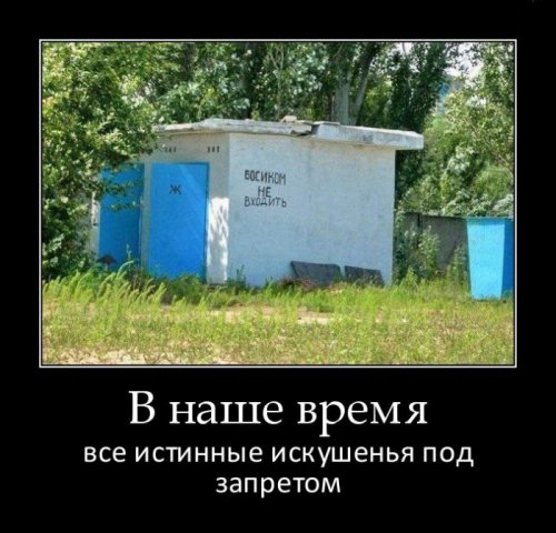 Опубликованное фото