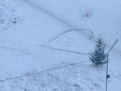 Опубликованное фото