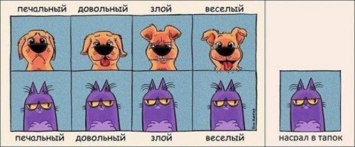 1329896493_1.jpg