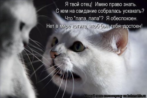 ������ ����������� ������, 24 ��