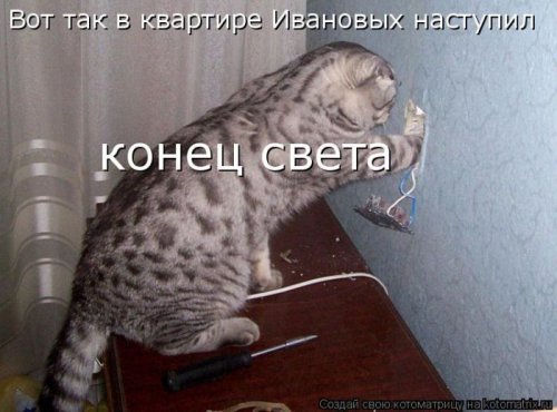 ������ ����������� ������, 24 ��