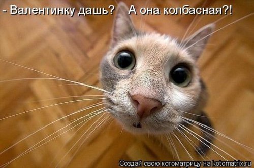 ������ ����������� ������, 24 ��
