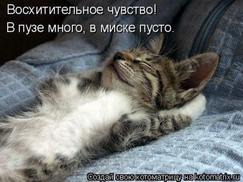 ������ ����������� ������, 24 ��