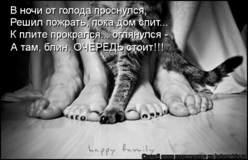 ������ ����������� ������, 24 ��