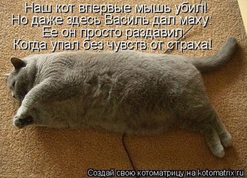 ������ ����������� ������, 24 ��