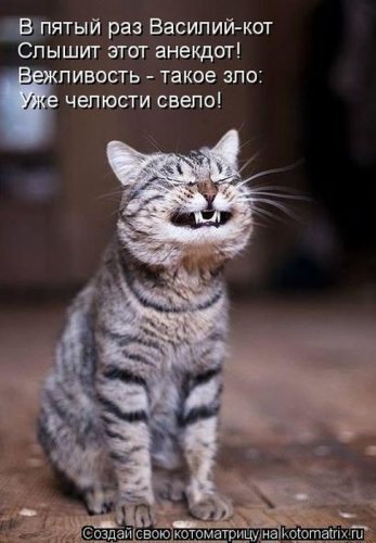 ������ ����������� ������, 24 ��