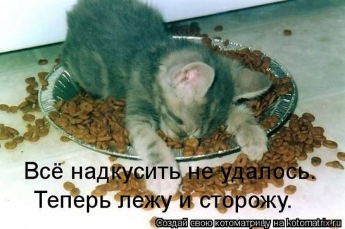 ������ ����������� ������, 24 ��