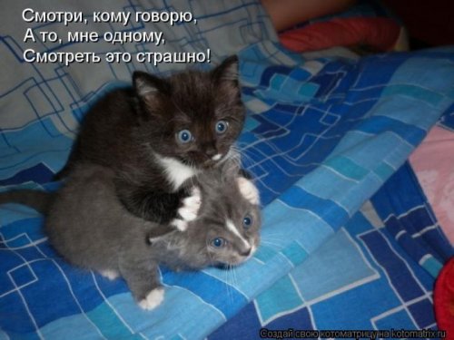 ������ ����������� ������, 24 ��