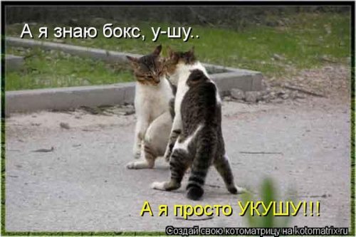������ ����������� ������, 24 ��