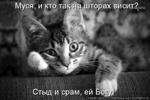 ������ ����������� ������, 24 ��