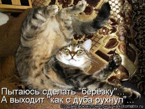 ������ ����������� ������, 24 ��