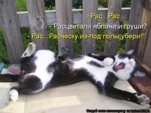 ������ ����������� ������, 24 ��