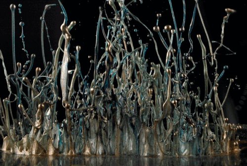 Звуки на фотографиях