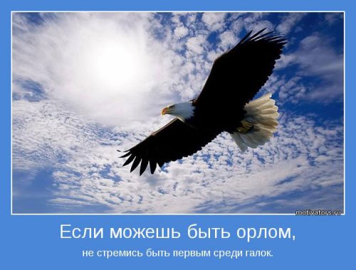 ���������� ���������� (30 ��)