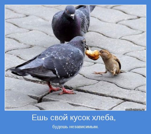 ���������� ���������� (30 ��)