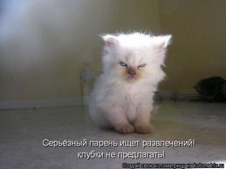 Смешная котоматрица Смешная котоматрица