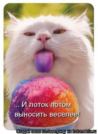 Смешная котоматрица Смешная котоматрица