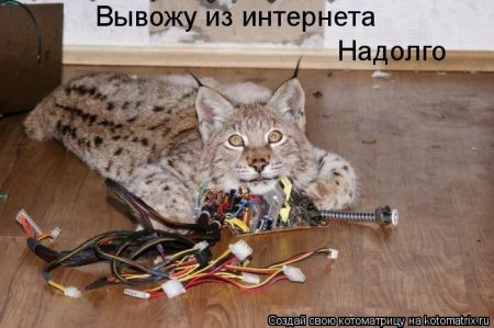 Смешная котоматрица Смешная котоматрица