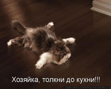 Смешная котоматрица Смешная котоматрица