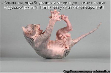 Смешная котоматрица Смешная котоматрица