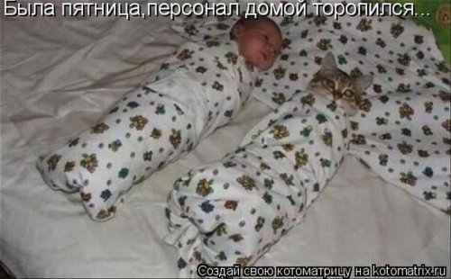 Смешная котоматрица Смешная котоматрица