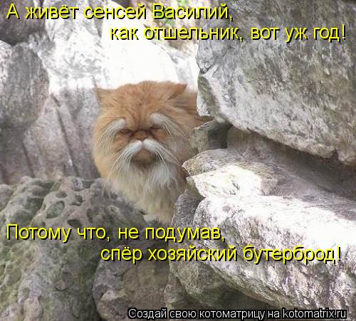 Смешная котоматрица Смешная котоматрица