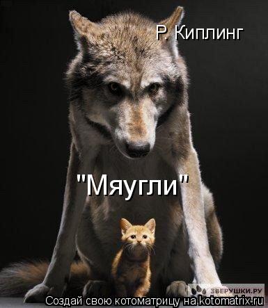 Веселая котоматрица (37 фото) Веселая котоматрица (37 фото)