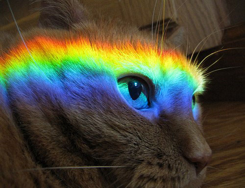 Разноцветный ПОЗИТИВ Разноцветный ПОЗИТИВ