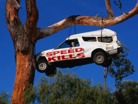 Необычные украшения для деревьев