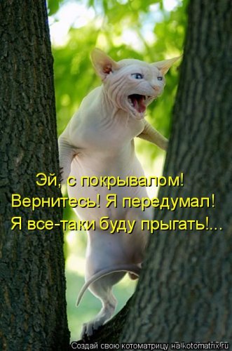 http://www.bugaga.ru/uploads/posts/2012-03/thumbs/1330960095_kotomatrix_09.jpg