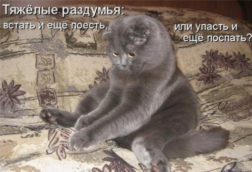 1332925720_11c90a067d6399d7c823454f10af0