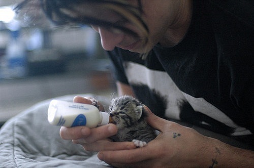 Всем позитивного дня! (28 фото) Всем позитивного дня! (28 фото)