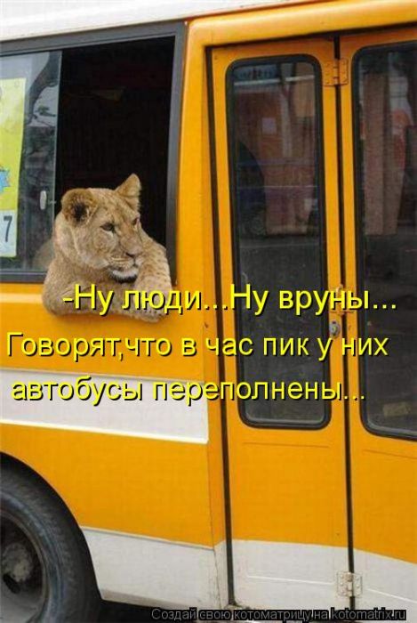 Лучшие котоматрицы недели (30 фото) Лучшие котоматрицы недели (30 фото)