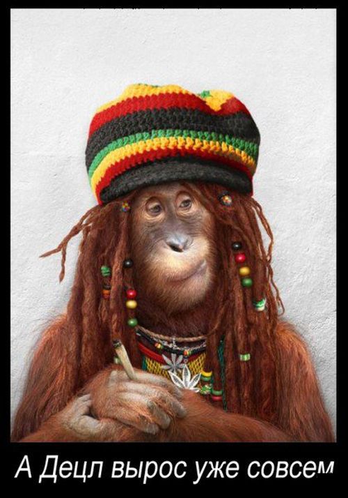 Демотиваторы смешные новые (22 шт) Демотиваторы смешные новые (22 шт)