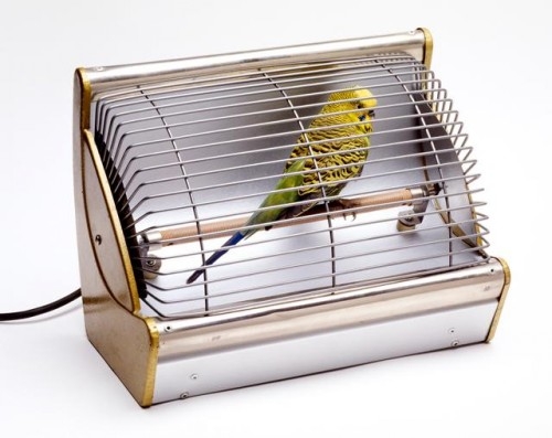 Гиперреалистический сюрреализм от Нэнси Фоутс Гиперреалистический сюрреализм от Нэнси Фоутс