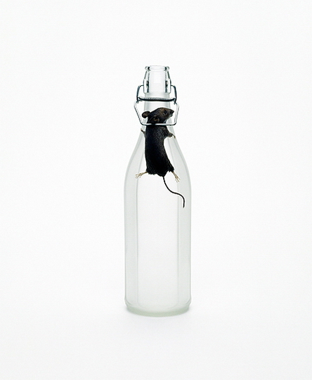 Гиперреалистический сюрреализм от Нэнси Фоутс Гиперреалистический сюрреализм от Нэнси Фоутс