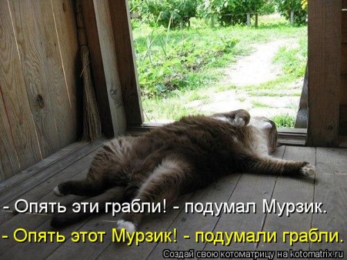 http://www.bugaga.ru/uploads/posts/2012-04/thumbs/1333783326_kotomatrix-24.jpg
