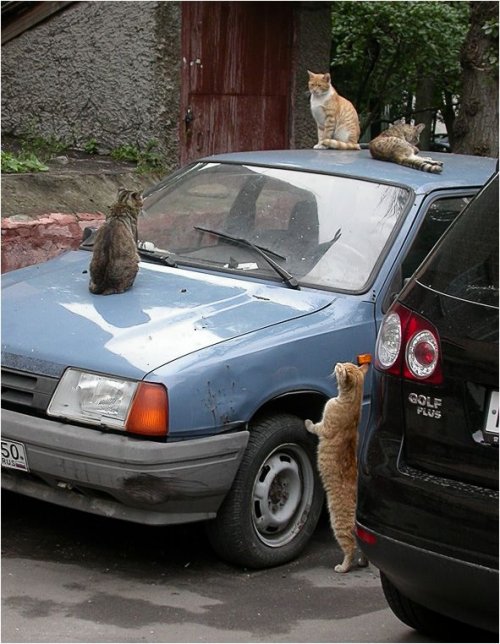 ���������� �������� � �������