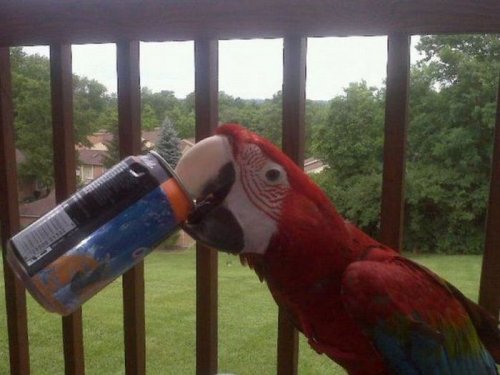 ���������� �������� � �������