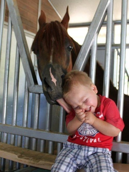 ���������� �������� � �������