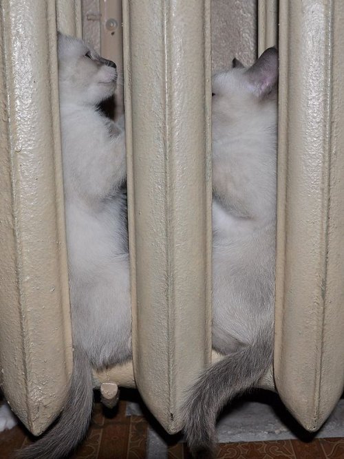 ���������� �������� � �������