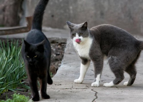 ���������� �������� � �������