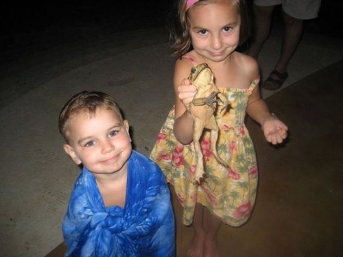 ���������� �������� � �������