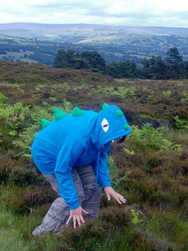 Прикольные толстовки Прикольные толстовки