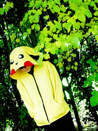 Прикольные толстовки Прикольные толстовки