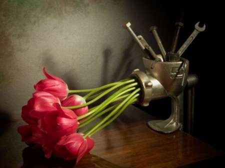 Прикольные картинки (44 фото) Прикольные картинки (44 фото)