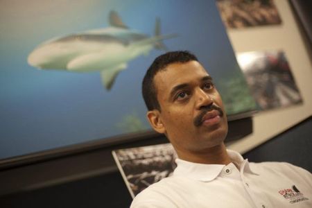 Самые удивительные истории столкновения с акулами Самые удивительные истории столкновения с акулами