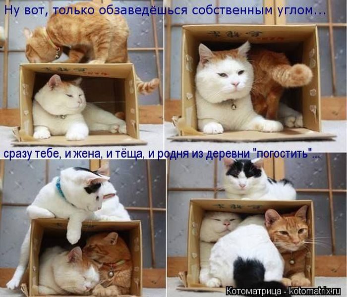 http://www.bugaga.ru/uploads/posts/2012-05/1336816698_1.jpg
